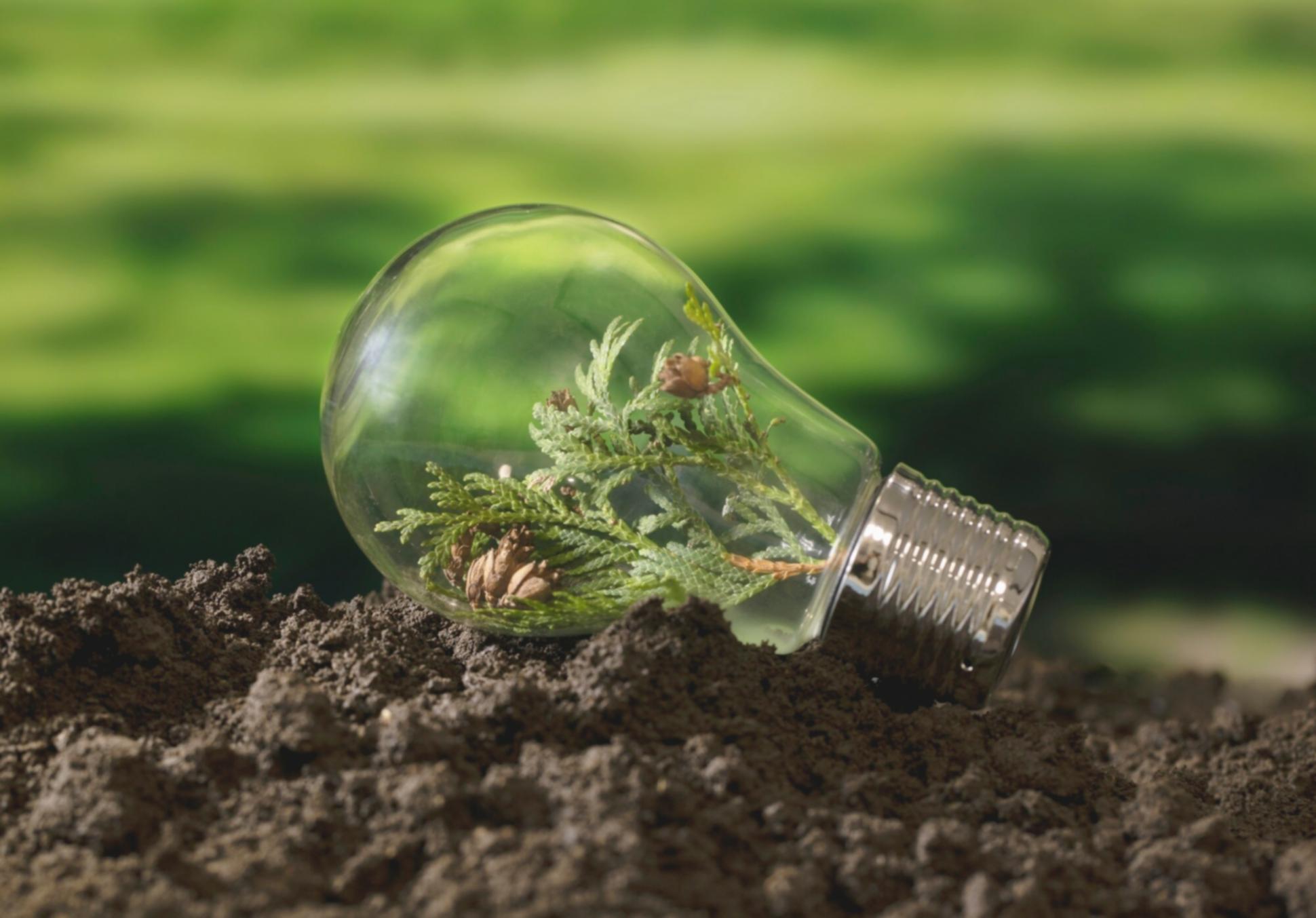 Freshwater ecology field research team collecting water samples in natural stream environment